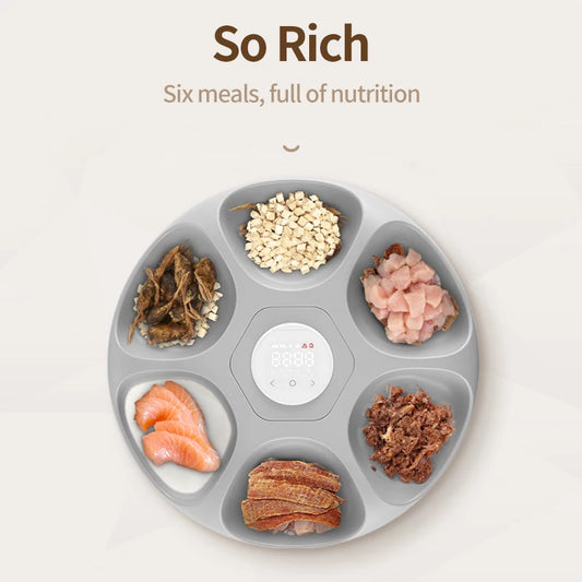 ROJECO 6 Meals Automatic Feeder